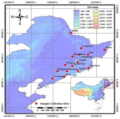 Genetic Diversity of Juglans mandshurica Populations in Northeast China Based on SSR Markers